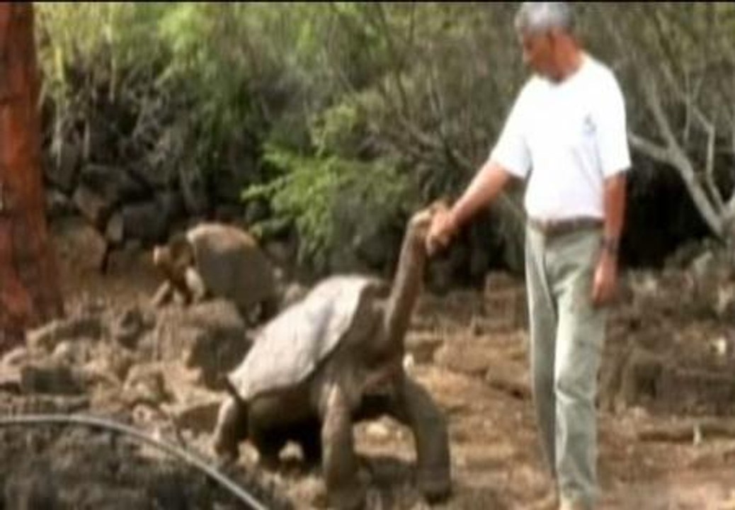 Muere "El solitario George"