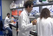 Investigadores españoles logran aumentar la supervivencia en pacientes con cáncer de pulmón