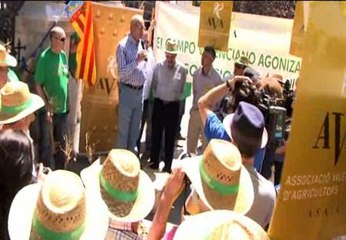 Agricultores valencianos protestan en Madrid a través de un "mercado de la ruina"