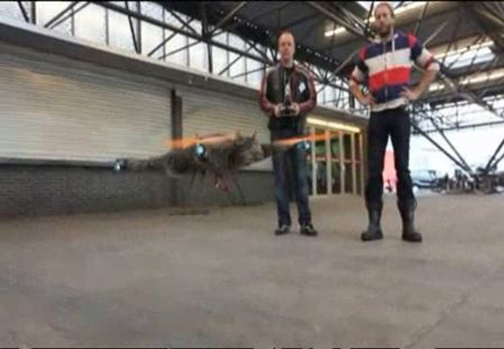 Una mascota convertida en obra de arte