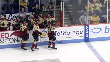 ECHL Atlanta Gladiators 2 at South Carolina Stingrays 4