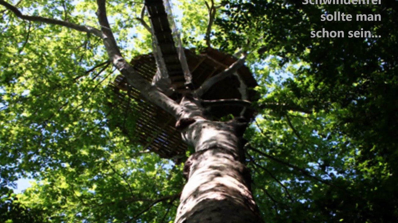 Übernachten im höchsten Baumhaus Europas