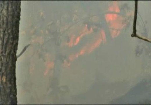 Un incendio arrasa 4.000 hectáreas de la reserva mexicana La Primavera