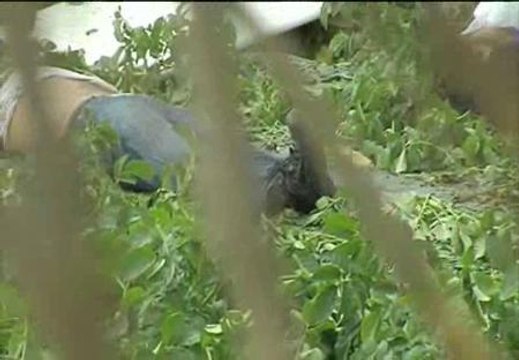 Fallecen dos personas en un accidente de avioneta en Vélez, Málaga