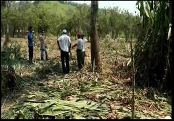 Hallan en México los cadáveres de cuatro niños pequeños