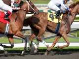 HBO cancela 'Luck' tras la muerte de tres caballos