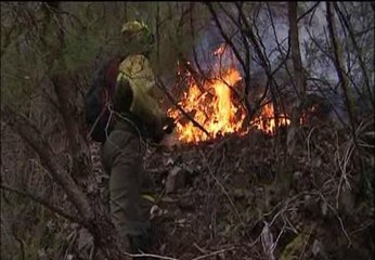 El fuego se ceba con el concejo de Tineo (Asturias)