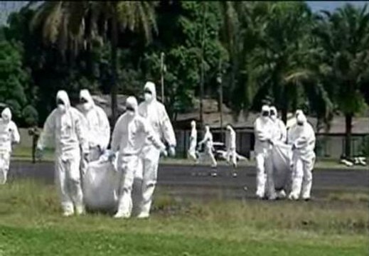 Recuperan los cuerpos de 34 rebeldes de las FARC