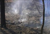 El incendio de Allariz, en Ourense, está ya extinguido