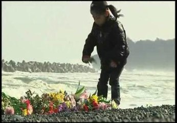 Japón, un año después