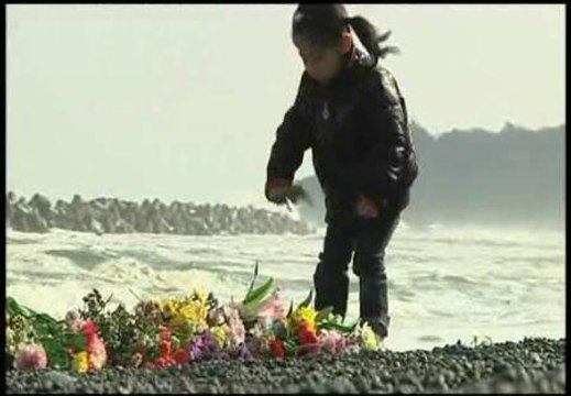 Japón, un año después