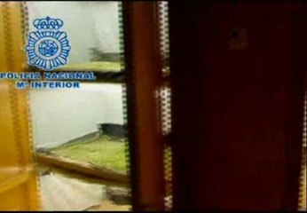 La Policía Nacional interviene 6.400 plantas de marihuana