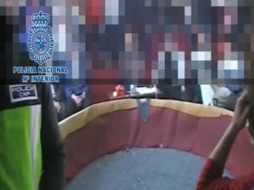 Detienen a 46 personas por peleas ilegales de gallos