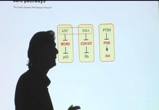 Las pastillas para evitar el cáncer, cada vez más lejos de la ciencia ficción