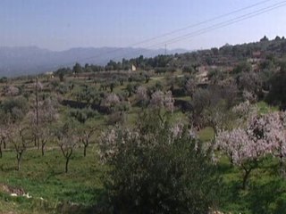 Cultivar marihuana para acabar con la crisis
