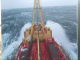 La Antártida en el Oceanogràfic de Valencia