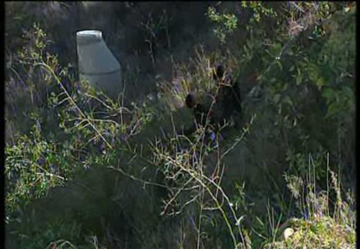 Nueva búsqueda del cuerpo de Marta del Castillo