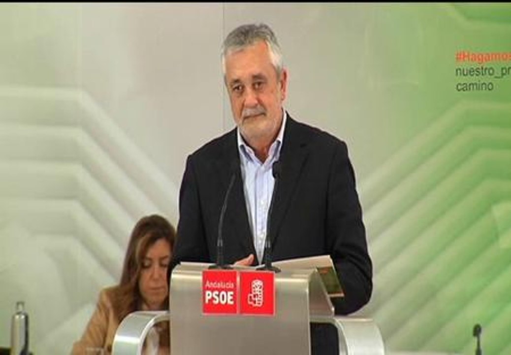 Griñán: "Llevamos un mes mirando al interior del partido más que a la sociedad"