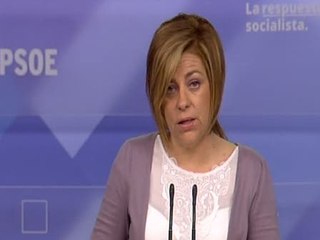 PSOE: "La reforma es ofensiva y destructiva"