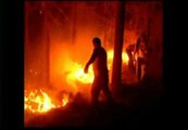 El fuego ya ha arrasado más de 23.000 hectáreas en el sur de Chile