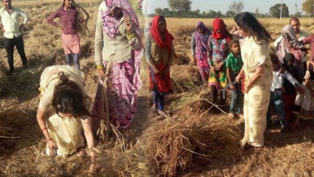 Lok Sabha Election 2019 : Hema Malini ने Mathura के खेतों में इस वजह से काटी फसलें | वनइंडिया हिंदी