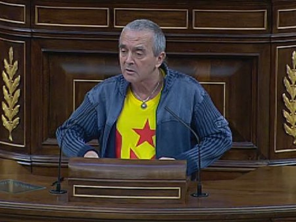 Amaiur: "Los únicos infiltrados han sido los profesores de Formación del Espíritu Nacional y la Pepitas y Puritas de Falange"