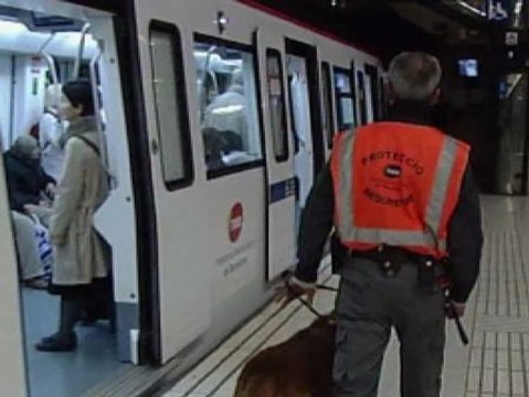 La nueva ley de Seguridad Privada amplia las competencias de los vigilantes privados en espacios públicos.