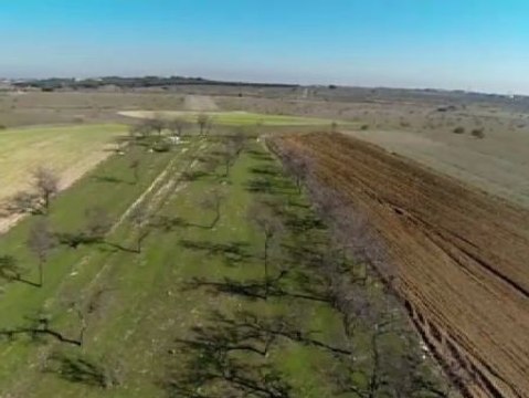 Alcorcón desolado por el anuncio de Eurovegas