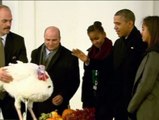 Obama elige al pavo Palomitas para el tradicional indulto de acción de gracias