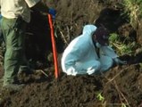Jalisco esconde fosas comunes con decenas de cadáveres