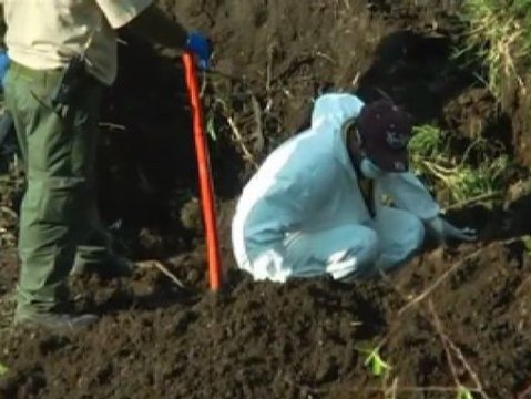Jalisco esconde fosas comunes con decenas de cadáveres