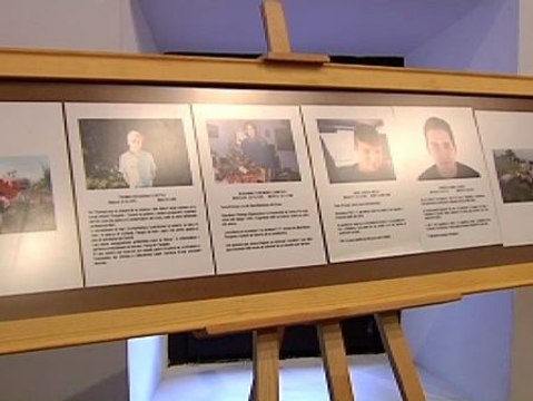 Stop Accidentes pide más conciencia al volante en el día mundial de las victimas de tráfico