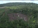La deforestación en la Amazonía brasileña alcanza los 5800 kilómetros cuadrados