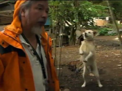 El único habitante de Fukushima