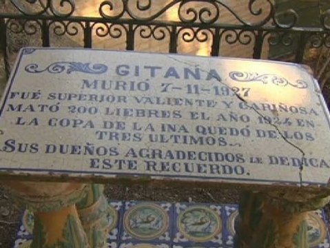 Un cementerio de mascotas se llena estos días de visitas