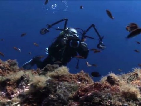 Arranca la XVII edición del concurso Open Fotosub Isla de El Hierro