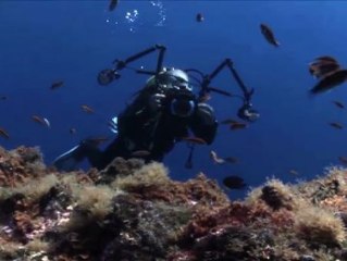 Arranca la XVII edición del concurso Open Fotosub Isla de El Hierro