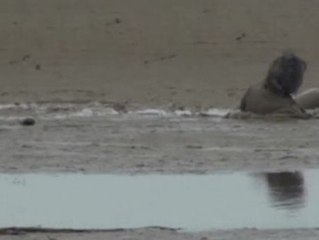 Rescate de infarto en China