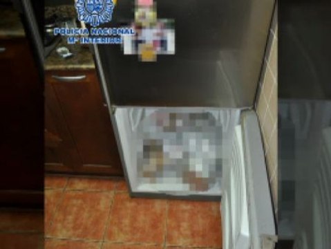 Descuartiza a su hermano y lo oculta en varios frigoríficos