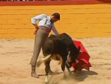 Un juez prohíbe los festejos taurinos de Tarragona