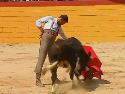 Un juez prohíbe los festejos taurinos de Tarragona