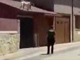 Un agente de la Guardia Civil dispara a un pitbull