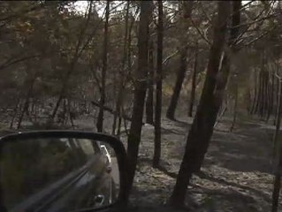 Extinguido el mayor incendio del verano