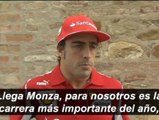 Alonso: 