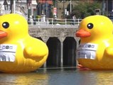 Los patos gigantes invaden la Ría de Bilbao