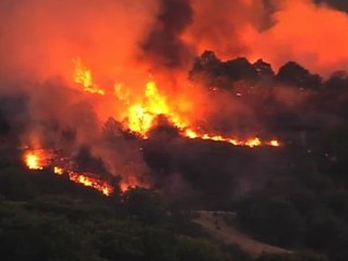 Un incendio quema el monte bajo de una localidad de Zamora
