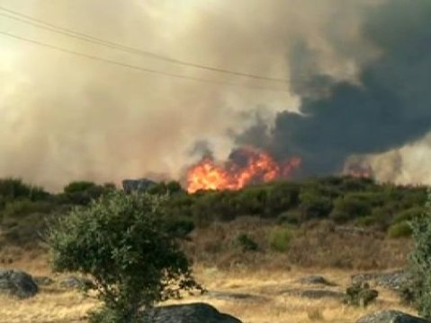 Cerca de 300 vecinos han sido desalojados en Villardiegua, en Zamora, por un incendio