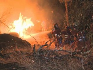 Más de 550 personas trabajan para controlar el incendio de Cebreros