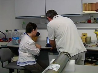 La investigación recortada