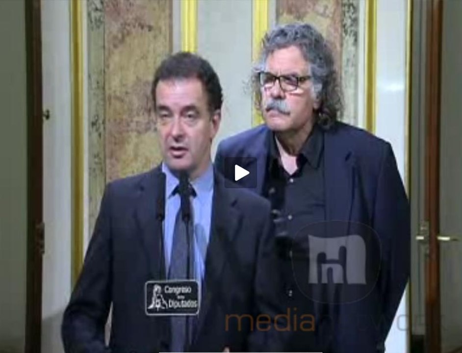 ERC cree que el PP y el PSOE sólo quieren escenificar ante Europa "un pacto improvisado"